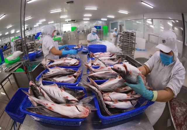 Vietnamese catfish exports to hit $2 billion mark this year